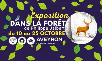 Expo Dans la Forêt Philippe Jalbert